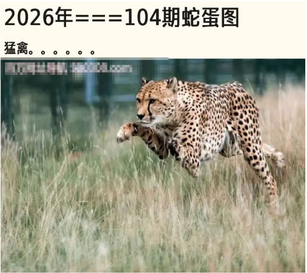 图片载入中...