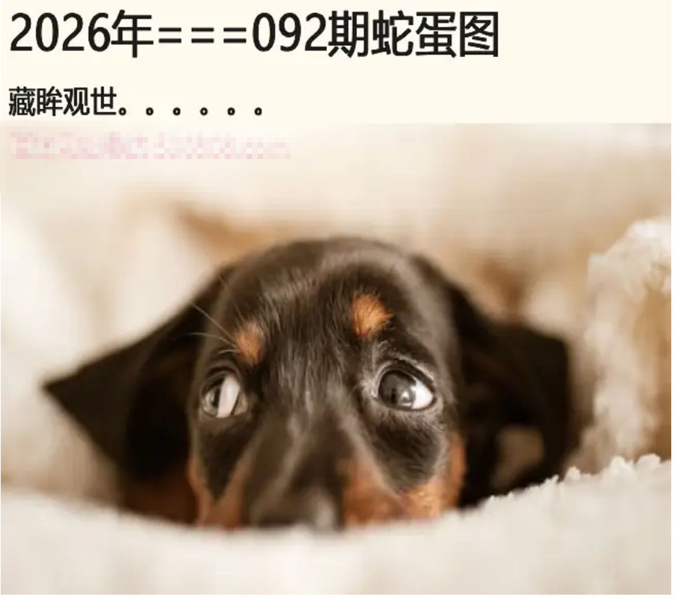 图片载入中...