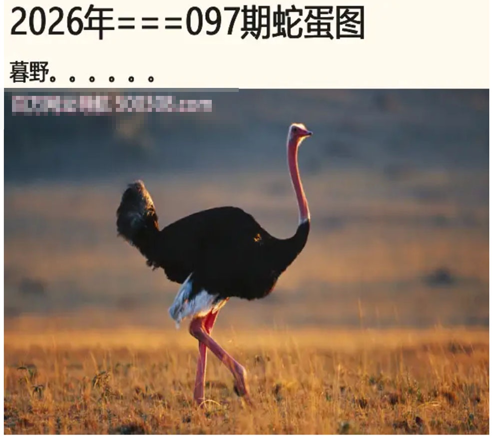 图片载入中...